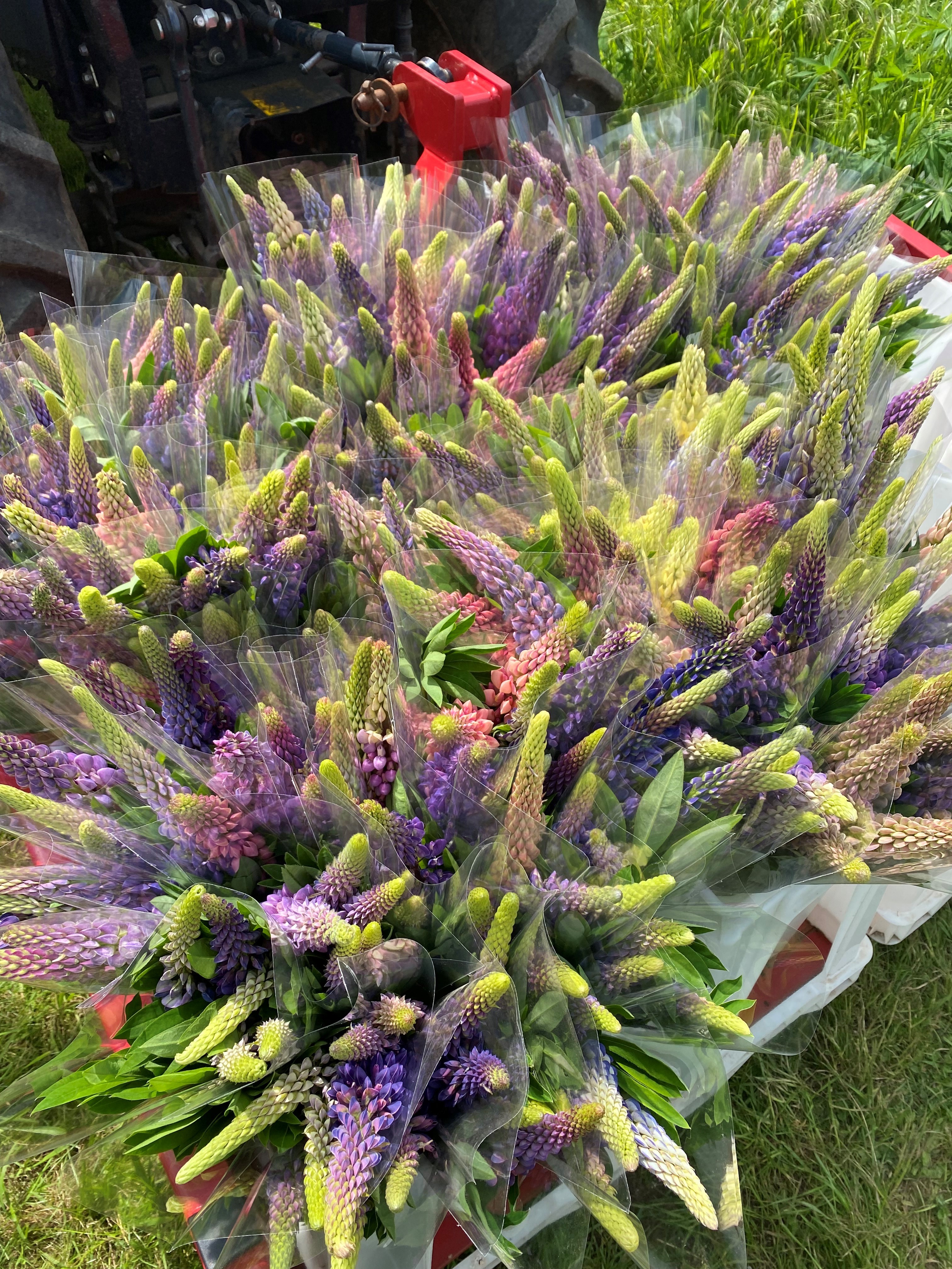 Hannah's Flowers